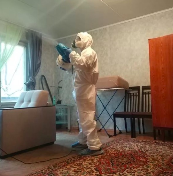 дезинсекция квартиры в Анапе